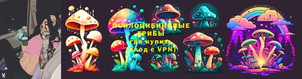 ПСИЛОЦИБИНОВЫЕ ГРИБЫ Бронницы